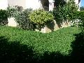 EL APARTAMENTO DE ISABEL.<br>APARTAMENTO EN PLANTA BAJA para 4 personas en NUEVO OASIS DEL SUR III